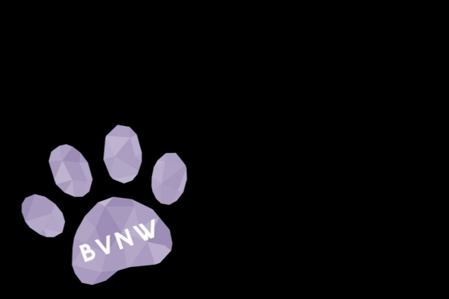 The paw print appears in the bottom left corner of Snapchats taken at BVNW.