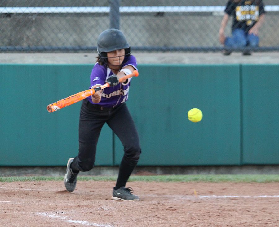 Softball ties with BVHS in double header