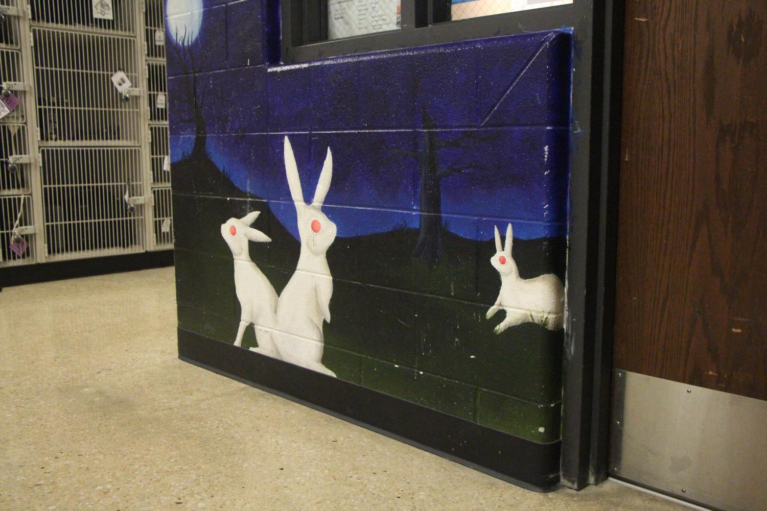 On the walls of the offices in the art department, the