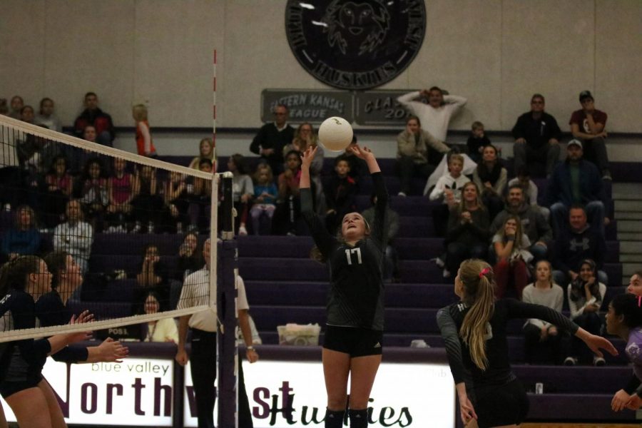 Senior Camryn Honn sets the ball during the game against Blue Valley North on Oct. 12.