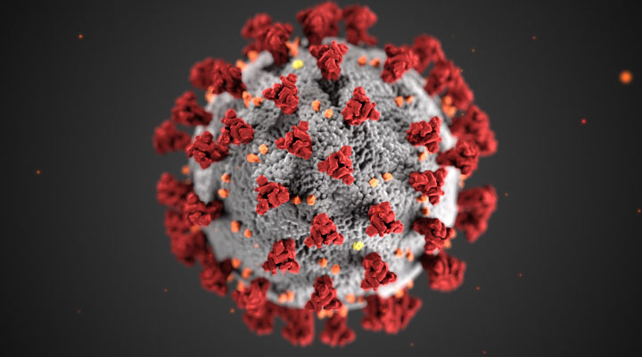  The picture above is of the coronavirus microbe. 