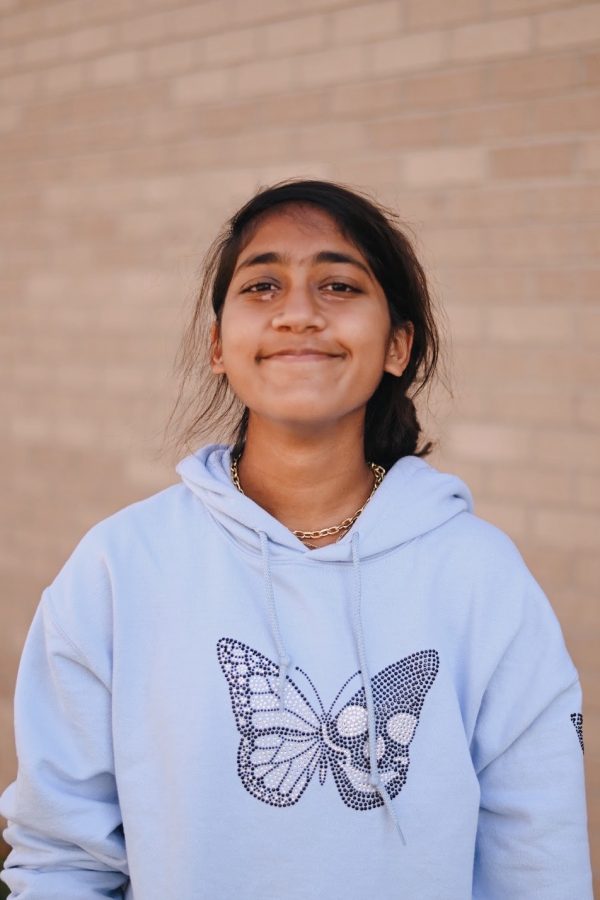 Mitri Krishna