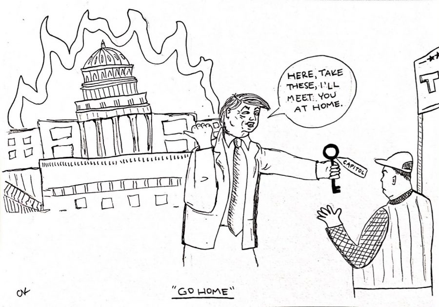 Political Cartoon: Go Home
