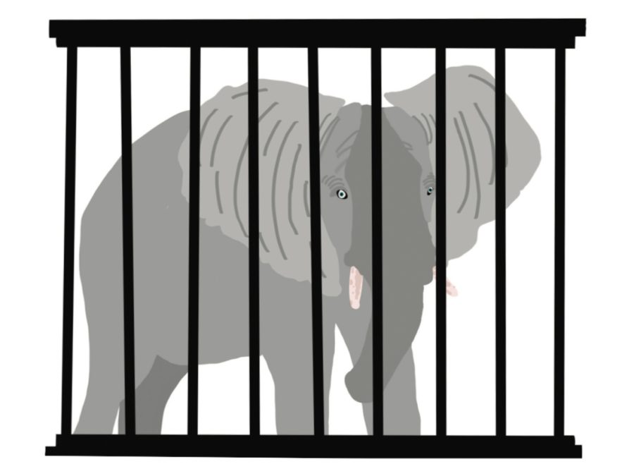Digital illustration of an elephant locked in a zoo cage.