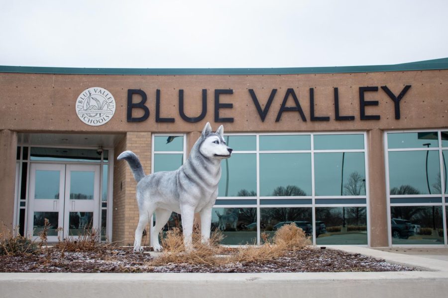 Photo of the husky mascot statue, which sits at the BVNW main entrance.