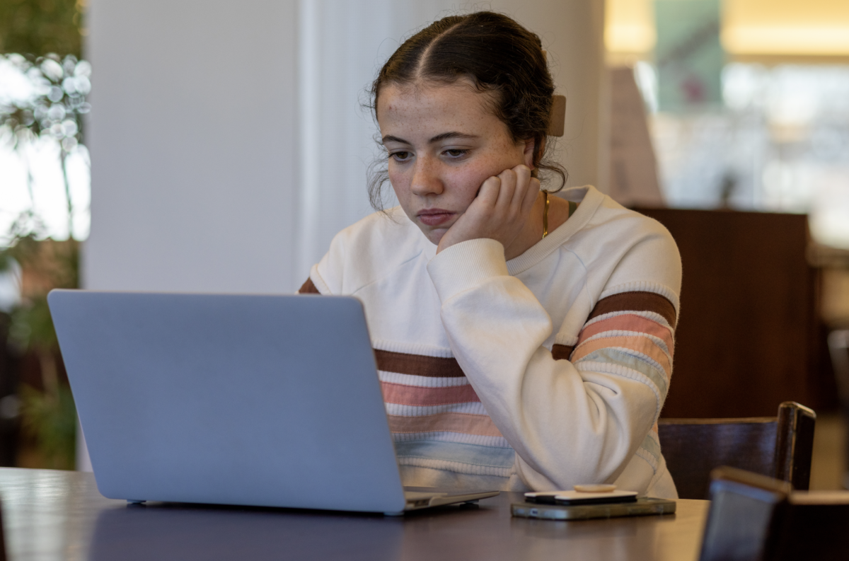 Sophomore Avery Davenport sits in the school library and shops online. “[On social media] you are saturated with pictures and videos of people using products,” Davenport said. She said this has an effect on her tendency to be influenced to buy new products online.