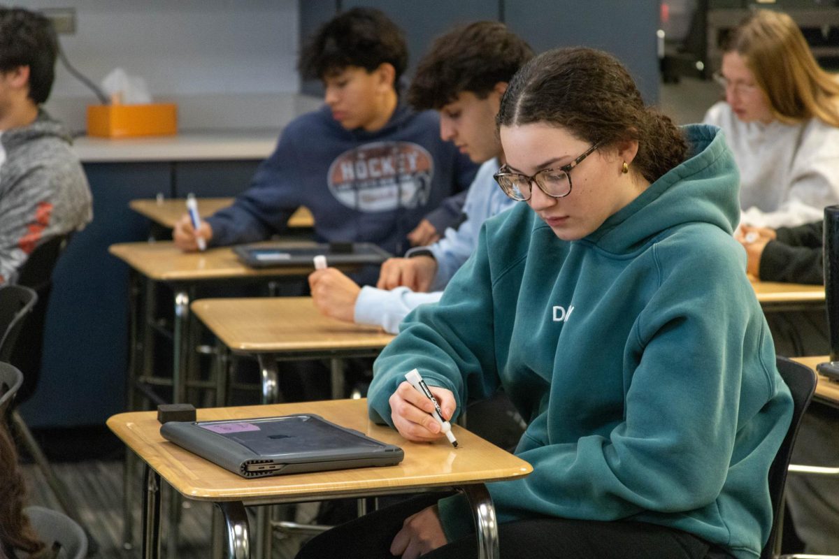 Sophomore Sofia Valdes is a student in Honors Spanish 4. She says that the new Spanish for Heritage Speakers class would be beneficial to students because there will be “more writing, reading and speaking than normal Spanish courses.”